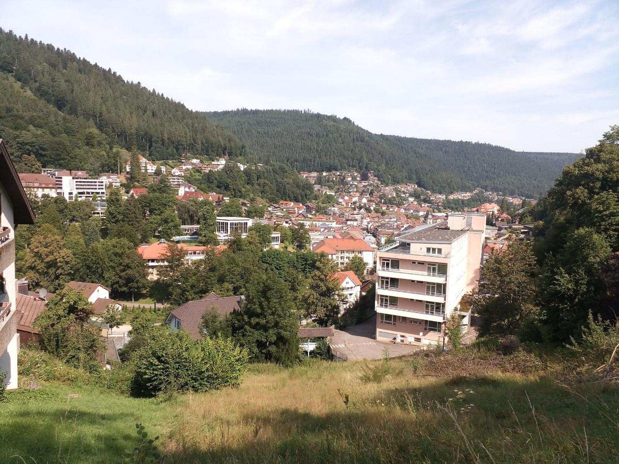 Ferienwohnung Tannenwald Bad Wildbad Esterno foto